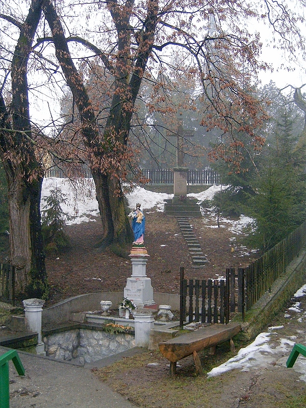 20100220 004.jpg